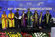 VIT 4 (117)